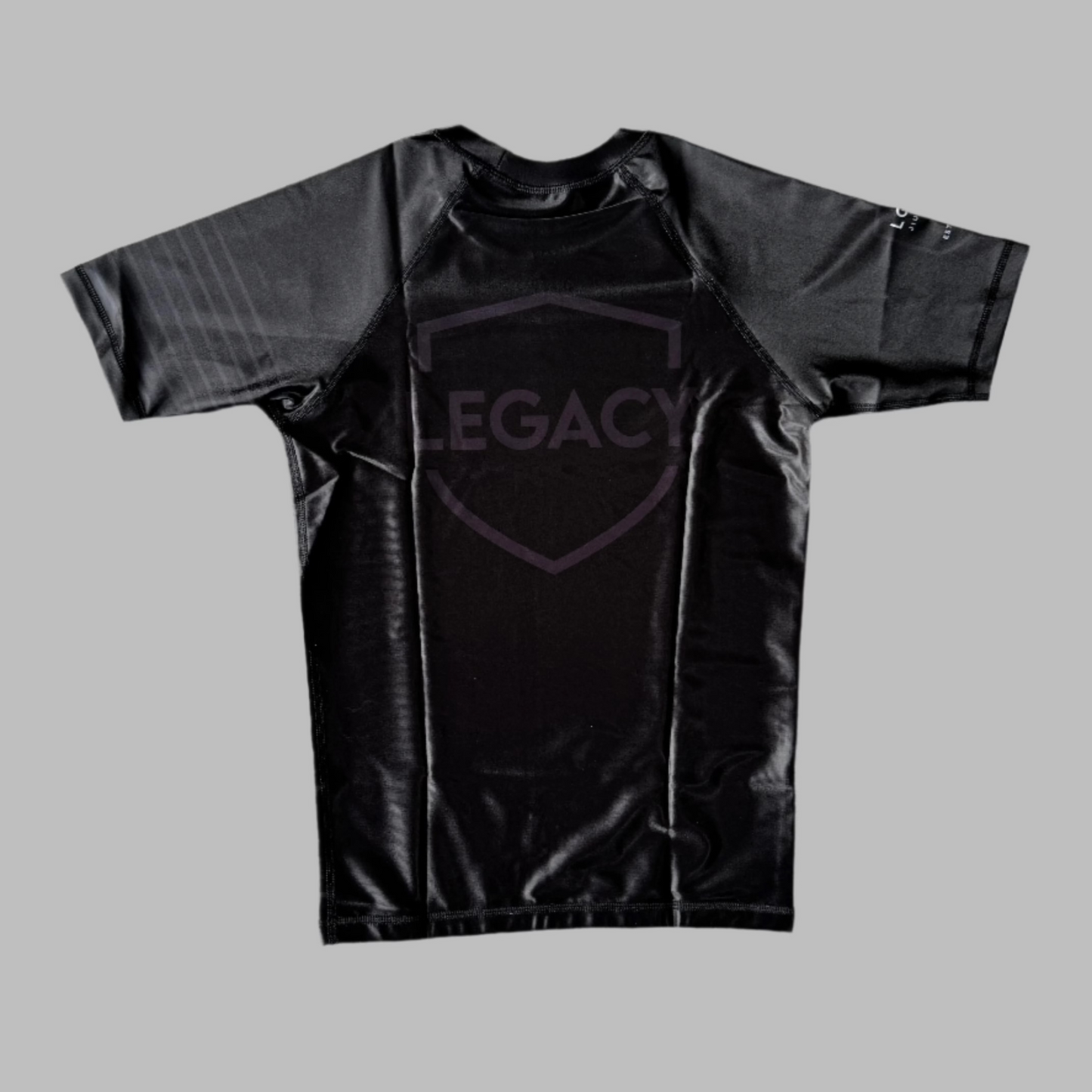 Rashguard Short Sleeve Stripes