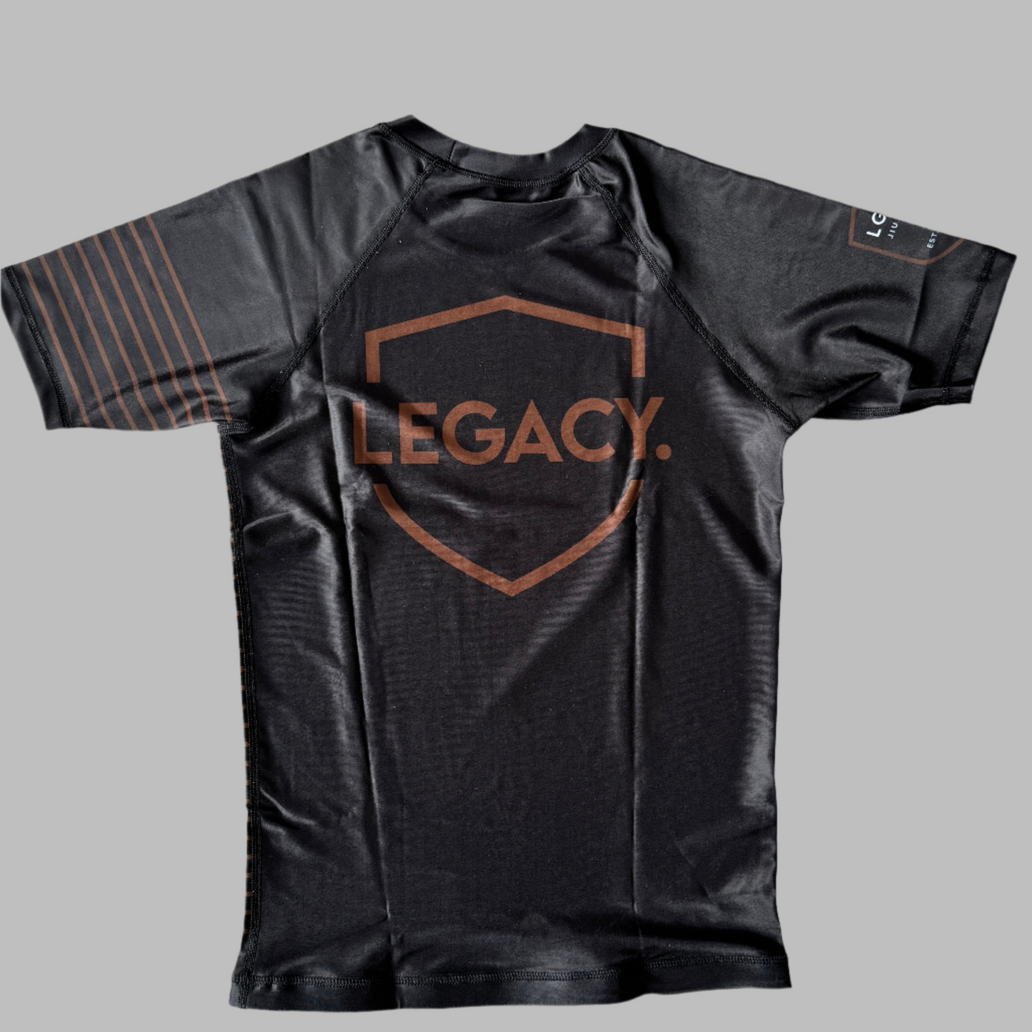 Rashguard Short Sleeve Stripes