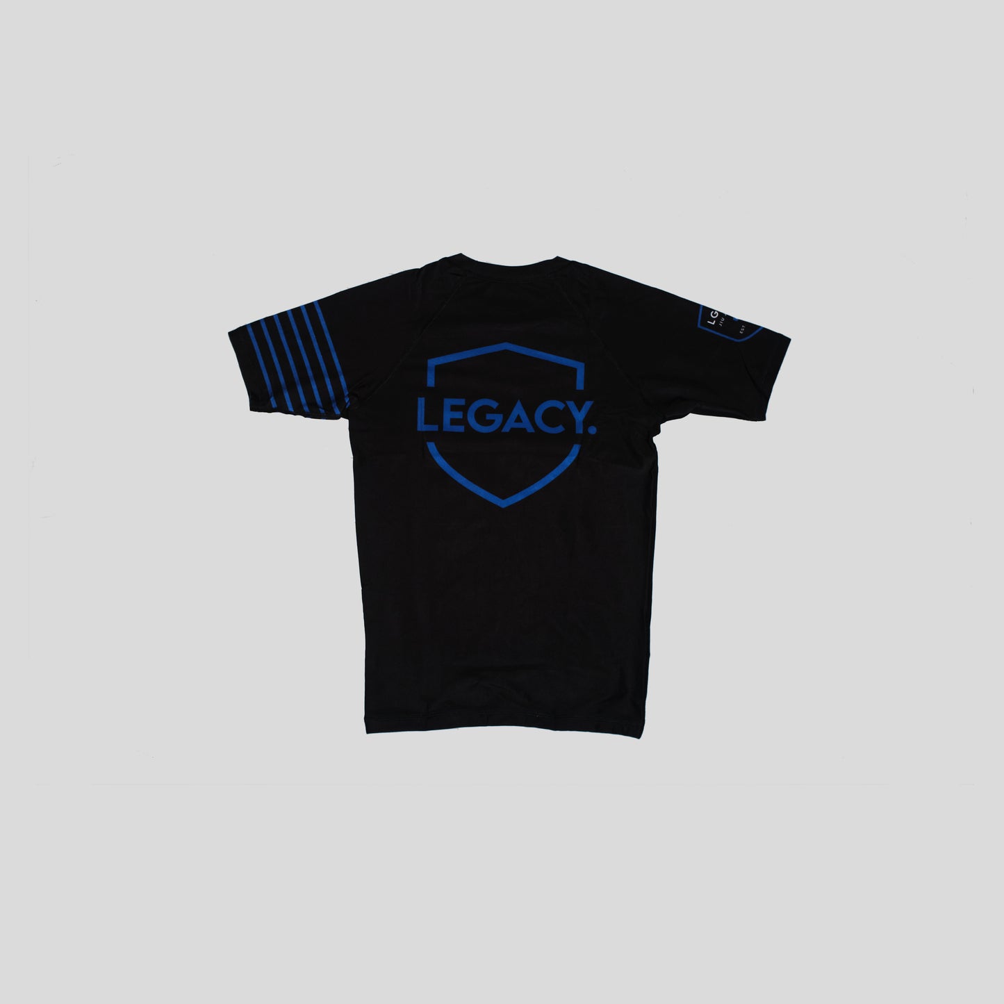 Rashguard Short Sleeve Stripes