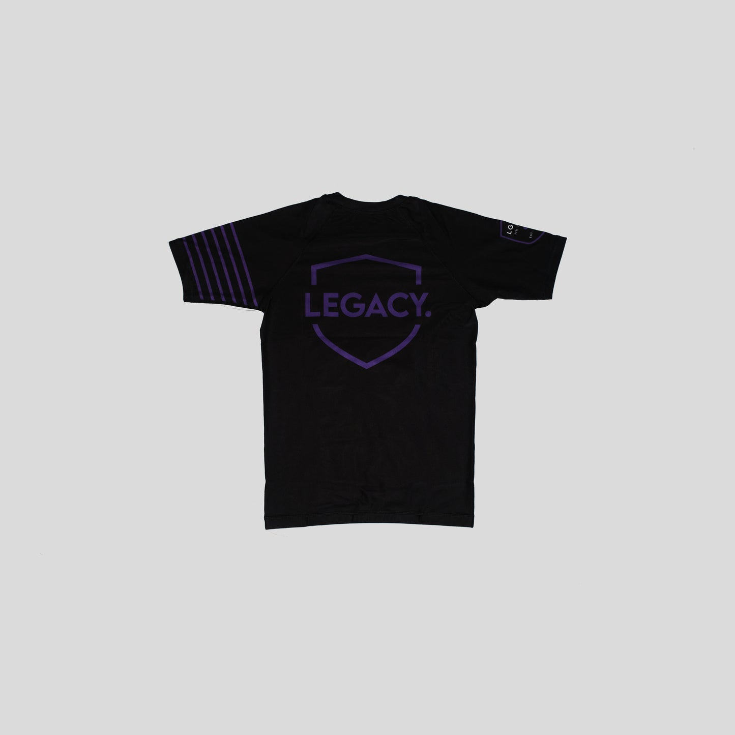 Rashguard Short Sleeve Stripes